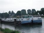 MARICA & CYCLONE les jumelles de l'ISNI